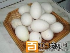 孕妇能吃鹅蛋吗?吃鹅蛋去胎毒?