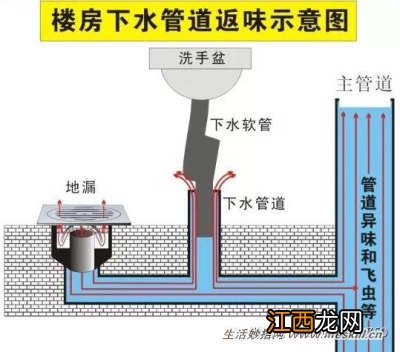 彻底解决洗手间里出现的臭味