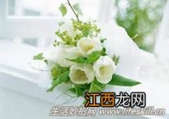 五种鲜花的保鲜方法