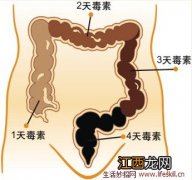 教你如何清肠、除口臭、色斑、大肚腩