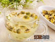 如何冲泡菊花茶？