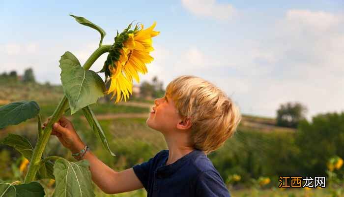 2022年9月出门回家吉利的日子  2022年9月出行回家吉日查询