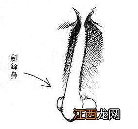 有什么面相的女人最克夫？女人克夫面相