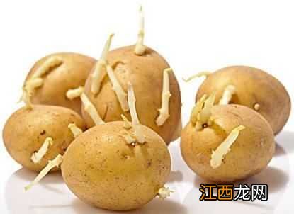 土豆长了一点点小芽可以吃吗？