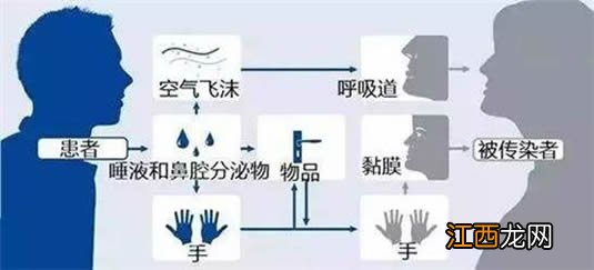 蚊子会传播新型冠状病毒？