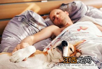 怎样睡好又睡饱？提高睡眠质量有妙招！