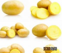 土豆减肥食谱：让你一周减肥创10斤的记录