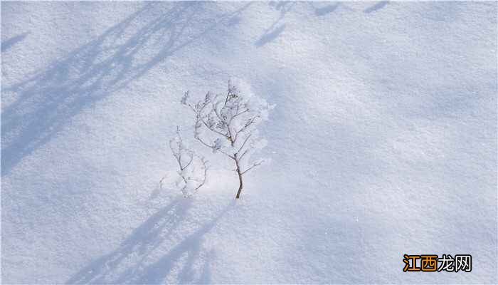 为何桥上的雪不易融化  为什么桥上的雪不容易化