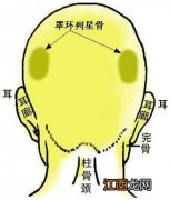 骨相图解：翠环列星骨