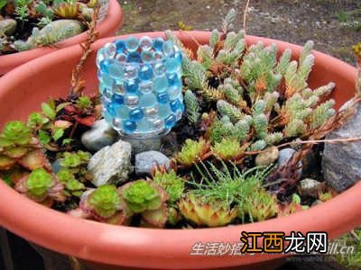 红酒空瓶的15种妙用