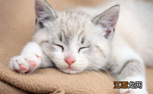 并不是睡得越多就越好 熬夜以后在白天补觉是否有用