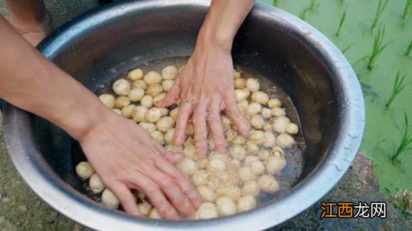 农村自制土豆小吃,哪里可以学做美食小吃的