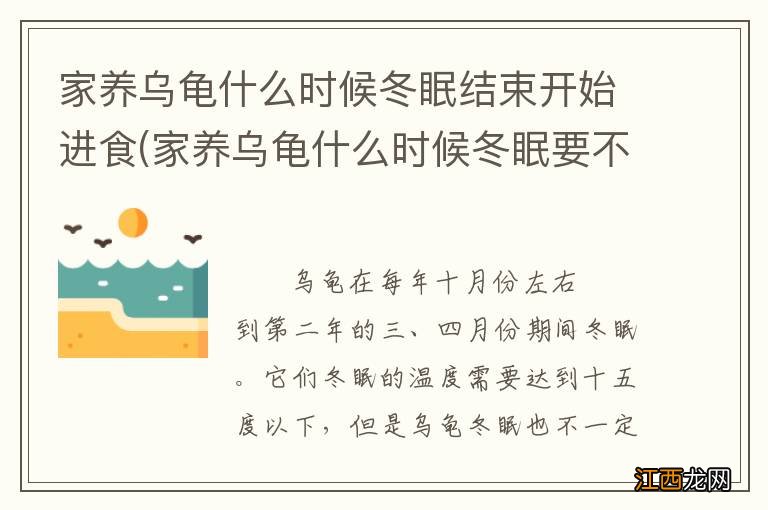 家养乌龟什么时候冬眠要不要放水 家养乌龟什么时候冬眠结束开始进食