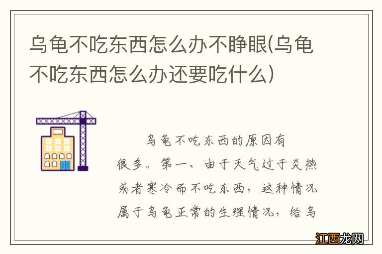 乌龟不吃东西怎么办还要吃什么 乌龟不吃东西怎么办不睁眼