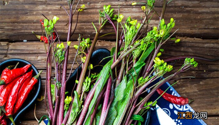 紫菜苔种植时间和方法