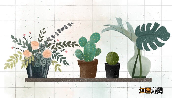 嫩叶呈红色是防止虫害吗