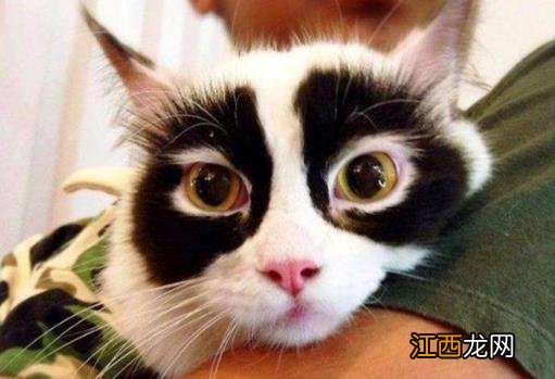 黑眼圈形成原因 4种营养9大饮食撵走女人“熊猫眼”