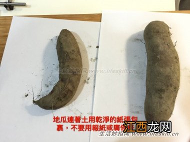 根茎类食材的保存方法