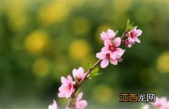 简历怎么写，让面试更顺利？简历内容哪些该写？哪些不该写？