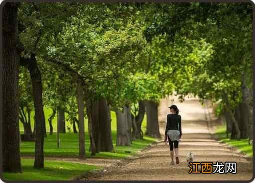 冬季养生做好六件小事,胜过胡乱进补