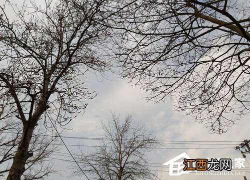 诺基亚7缺点 诺基亚7怎么样好用吗