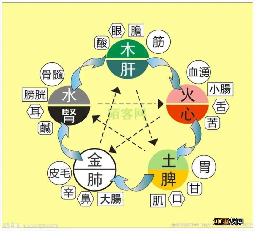 「中医养生」五脏调理很关键，如何养心最重要