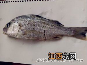 仅用一双筷子巧去鱼内脏