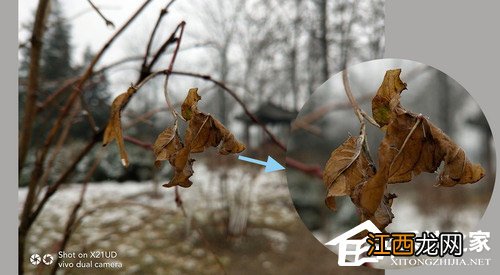 比vivox21好的vivo手机 vivox21口碑怎么样