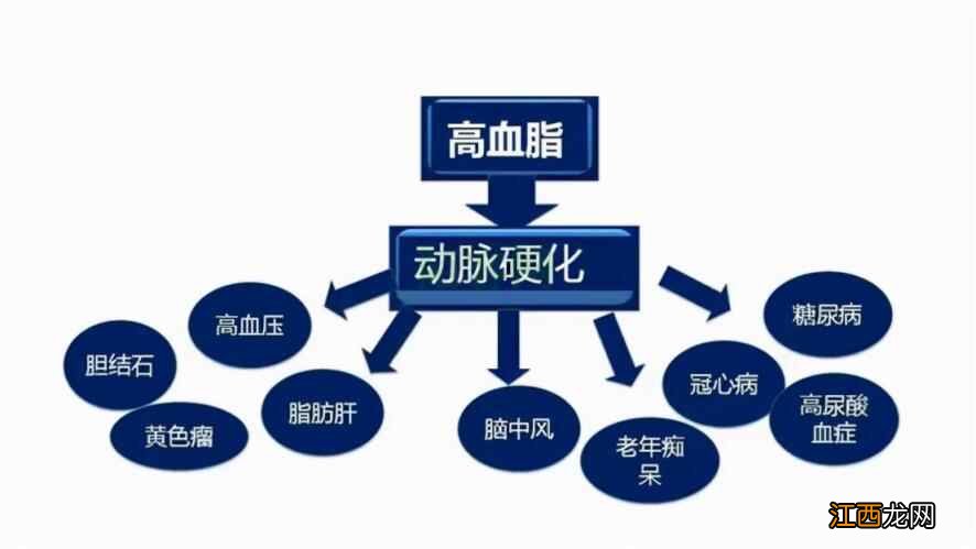 老年人如何养生，才能健康长寿？做到这3点，不花钱也能延年益寿