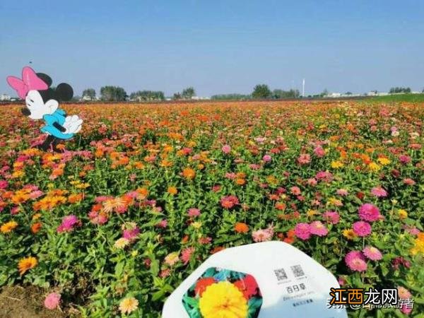 湖北仙桃有哪些好玩的地方？美食比较多的旅游城市