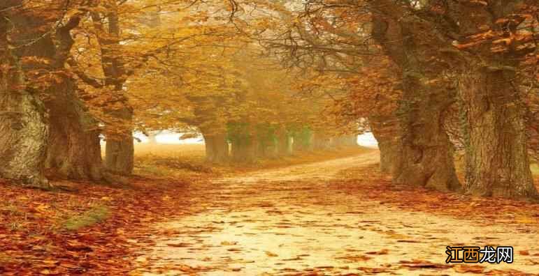 跟着古人学习四季养生