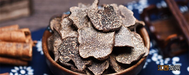 树底下怎样看出有松露