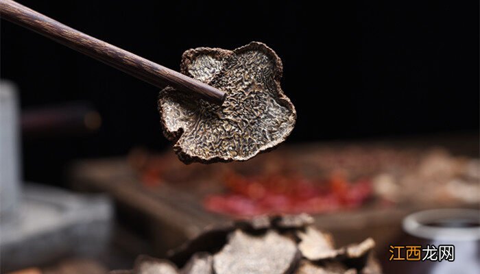 树底下怎样看出有松露