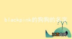 blackpink的狗狗的名字