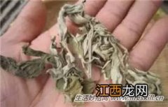 艾叶和酒治腰腿疼，2次就不疼了