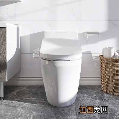 Panasonic 松下智能坐便器 即热式智能盖马桶盖5230+连体A型虹吸300坑距 智能马桶套餐