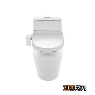 Panasonic 松下智能坐便器 即热式智能盖马桶盖5230+连体A型虹吸300坑距 智能马桶套餐