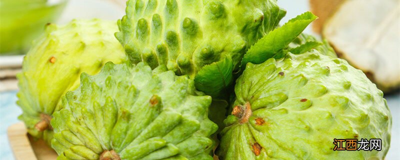 释迦果树种植方法