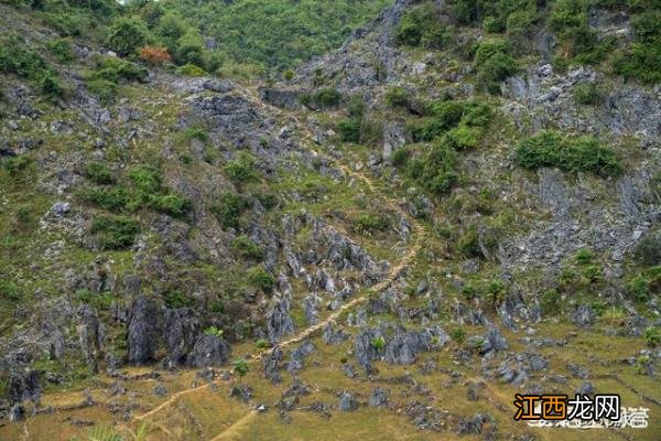 阳山鱼水旅游风景区和水口秦汉古道广东周末自驾游好去处