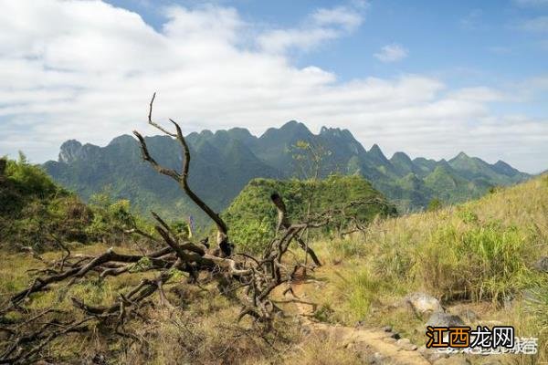 阳山鱼水旅游风景区和水口秦汉古道广东周末自驾游好去处