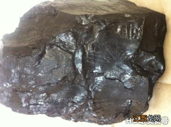 抚顺有什么特产? 抚顺有什么特产