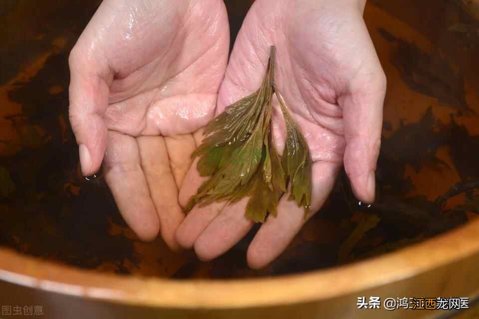 简谈易经中的中医养生智慧