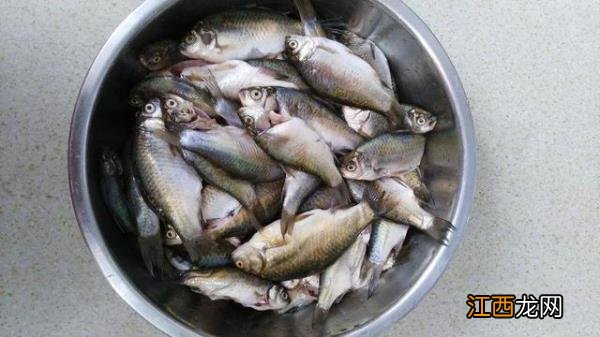 糟鱼如何腌制？糟鱼的腌制方法