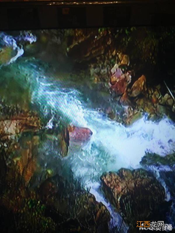 怒江农村人吃什么? 怒江哪里人喜欢吃什么