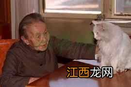 “世纪老人”99岁冰心养生秘诀:5个小方法,一生都潇洒!