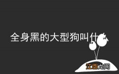 全身黑的大型狗叫什么