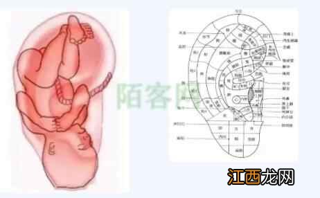 今日霜降,区第三人民医院医生提醒:秋季养生有妙招