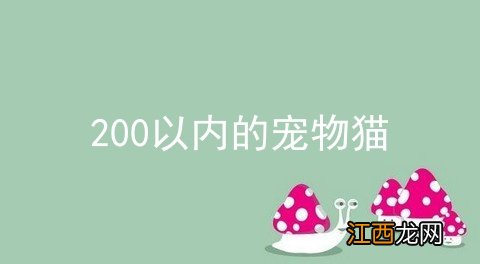 200以内的宠物猫