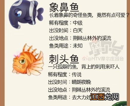 摩尔庄园刺头鱼、象鼻鱼、弹簧鱼在哪钓？黑森林鱼种出现时间及钓钓鱼技巧一览[多图]