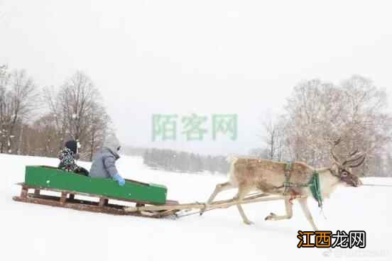 聊生活｜滑雪泡汤两相宜，还真不舍得冬天被虚度过